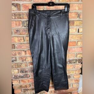 Aritzia Babaton black leather straight pants